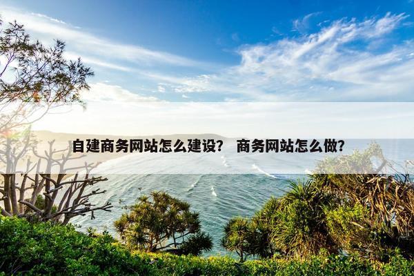 自建商务网站怎么建设？ 商务网站怎么做？-第1张图片-冷动云