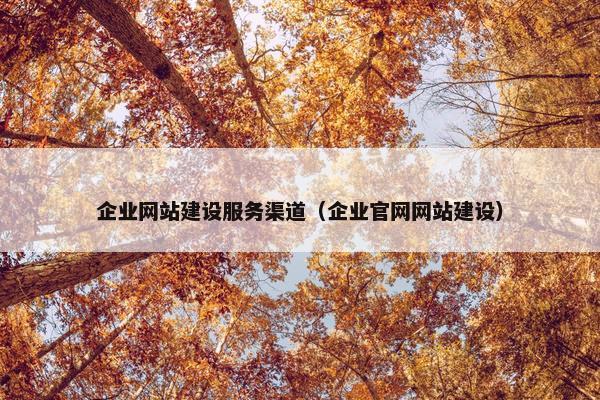 企业网站建设服务渠道（企业官网网站建设）-第1张图片-冷动云