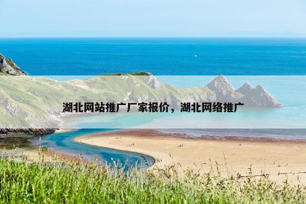 湖北网站推广厂家报价，湖北网络推广-第1张图片-冷动云