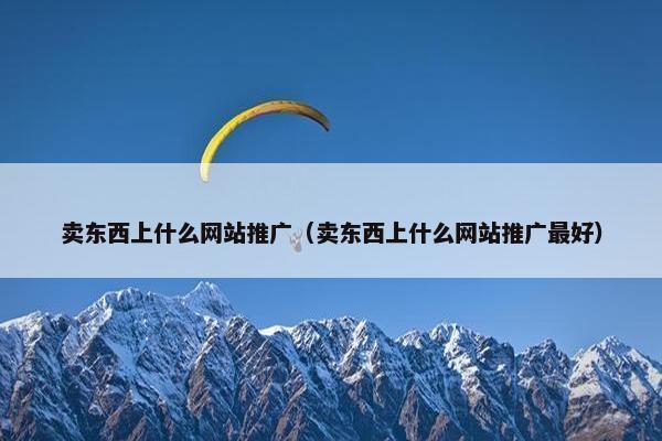 卖东西上什么网站推广（卖东西上什么网站推广最好）-第1张图片-冷动云