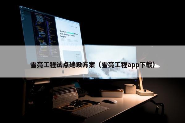 雪亮工程试点建设方案（雪亮工程app下载）-第1张图片-冷动云
