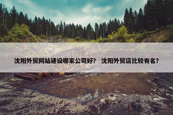 沈阳外贸网站建设哪家公司好？ 沈阳外贸店比较有名？-第1张图片-冷动云