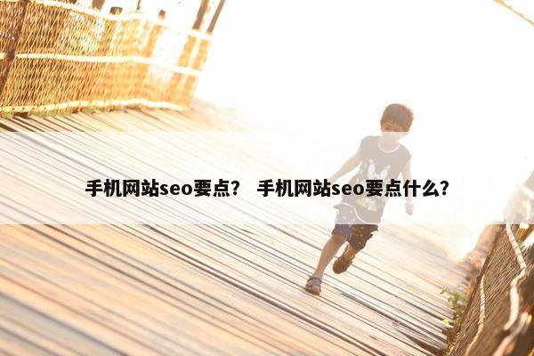 手机网站seo要点？ 手机网站seo要点什么？-第1张图片-冷动云