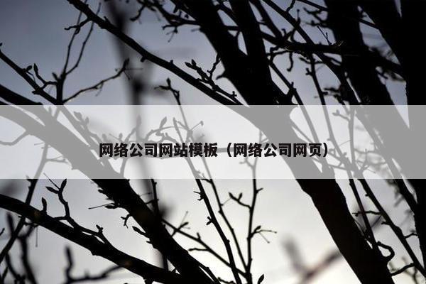 网络公司网站模板（网络公司网页）-第1张图片-冷动云