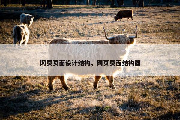网页页面设计结构，网页页面结构图-第1张图片-冷动云