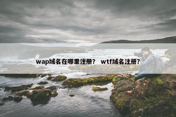 wap域名在哪里注册？ wtf域名注册？-第1张图片-冷动云
