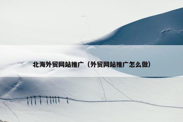 北海外贸网站推广（外贸网站推广怎么做）-第1张图片-冷动云