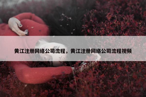 黄江注册网络公司流程，黄江注册网络公司流程视频-第1张图片-冷动云