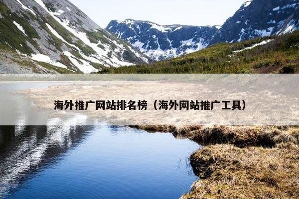 海外推广网站排名榜（海外网站推广工具）-第1张图片-冷动云