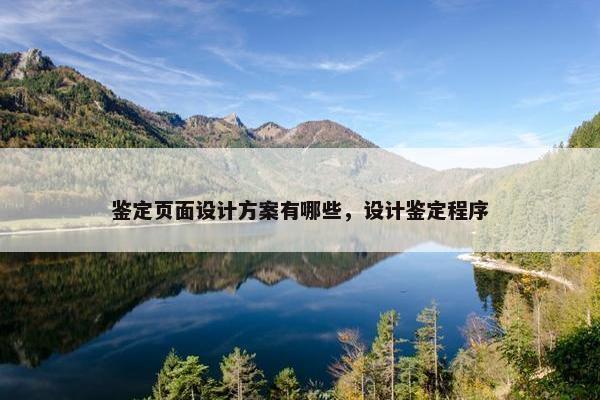鉴定页面设计方案有哪些，设计鉴定程序-第1张图片-冷动云