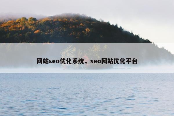 网站seo优化系统，seo网站优化平台-第1张图片-冷动云