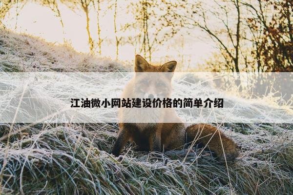 江油微小网站建设价格的简单介绍-第1张图片-冷动云