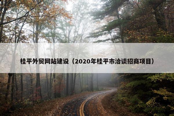 桂平外贸网站建设（2020年桂平市洽谈招商项目）-第1张图片-冷动云