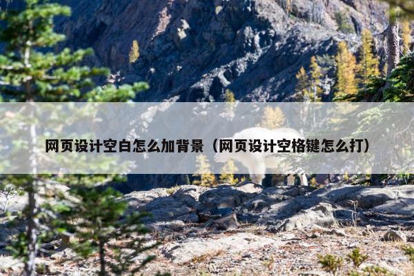 网页设计空白怎么加背景（网页设计空格键怎么打）-第1张图片-冷动云