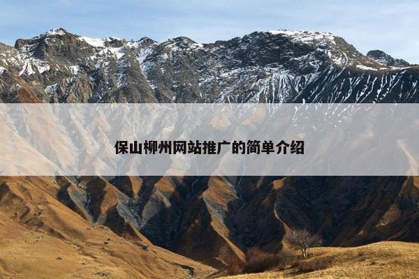 保山柳州网站推广的简单介绍-第1张图片-冷动云