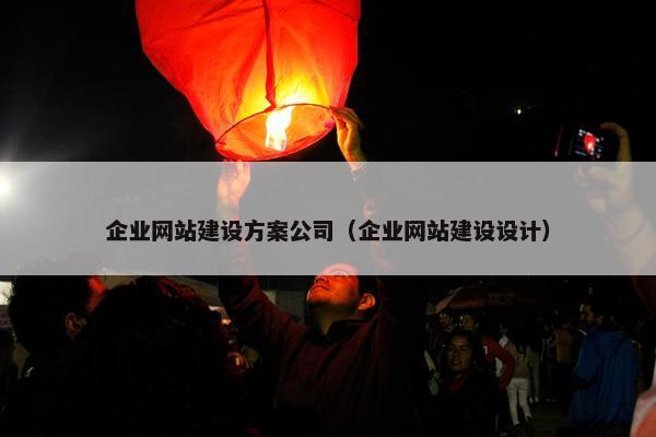 企业网站建设方案公司（企业网站建设设计）-第1张图片-冷动云