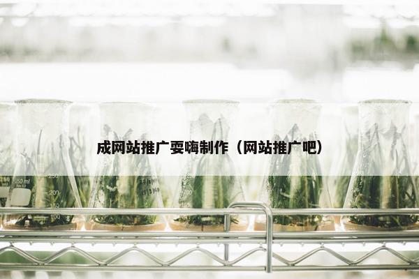 成网站推广耍嗨制作（网站推广吧）-第1张图片-冷动云