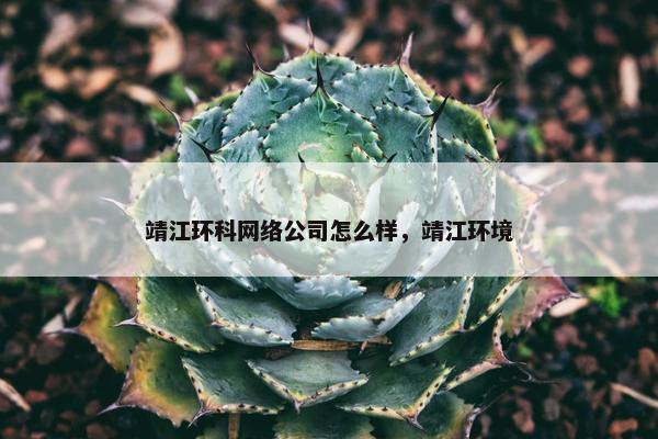 靖江环科网络公司怎么样，靖江环境-第1张图片-冷动云