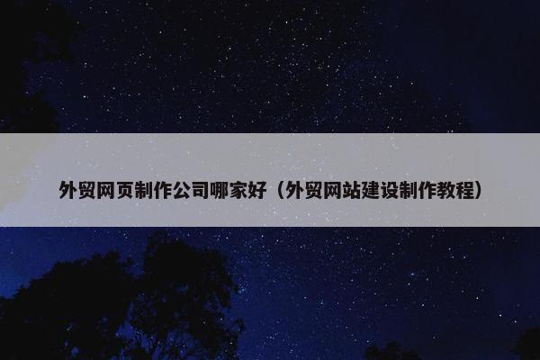 外贸网页制作公司哪家好（外贸网站建设制作教程）-第1张图片-冷动云