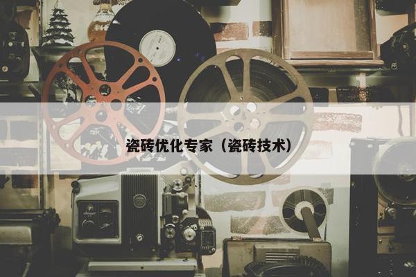 瓷砖优化专家（瓷砖技术）-第1张图片-冷动云