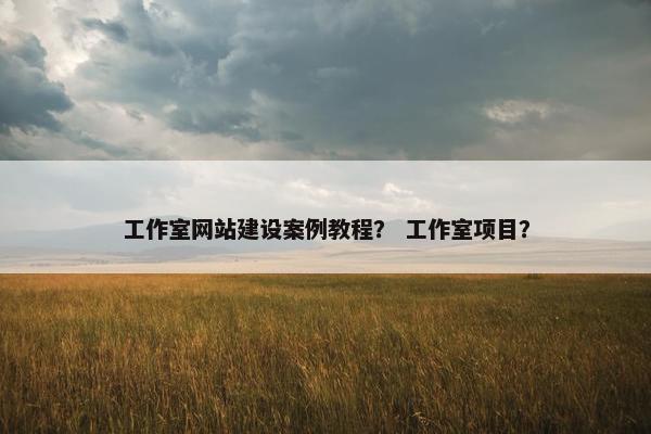 工作室网站建设案例教程？ 工作室项目？-第1张图片-冷动云