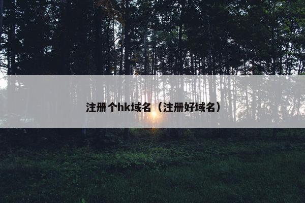 注册个hk域名（注册好域名）-第1张图片-冷动云