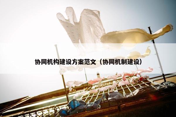协同机构建设方案范文（协同机制建设）-第1张图片-冷动云