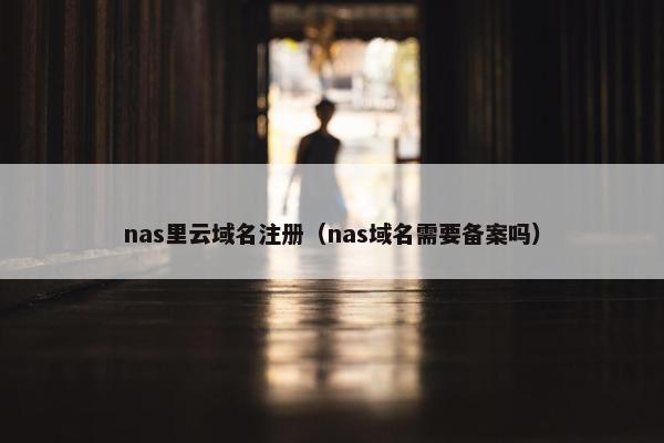 nas里云域名注册（nas域名需要备案吗）-第1张图片-冷动云