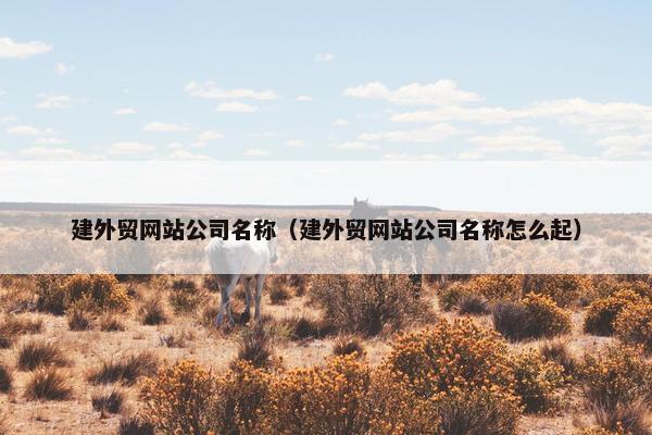 建外贸网站公司名称（建外贸网站公司名称怎么起）-第1张图片-冷动云