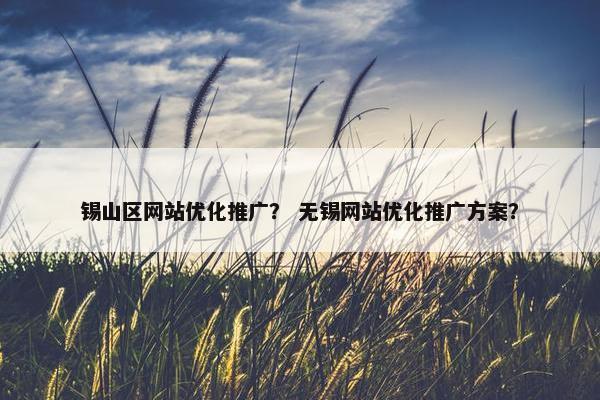 锡山区网站优化推广？ 无锡网站优化推广方案？-第1张图片-冷动云