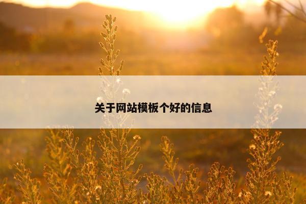 关于网站模板个好的信息-第1张图片-冷动云