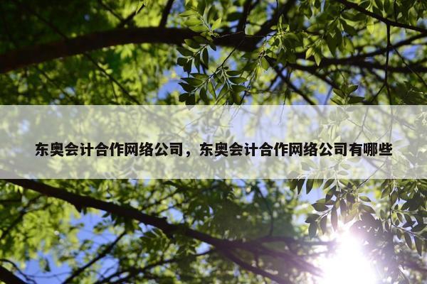 东奥会计合作网络公司，东奥会计合作网络公司有哪些-第1张图片-冷动云