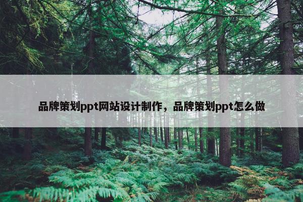 品牌策划ppt网站设计制作，品牌策划ppt怎么做-第1张图片-冷动云