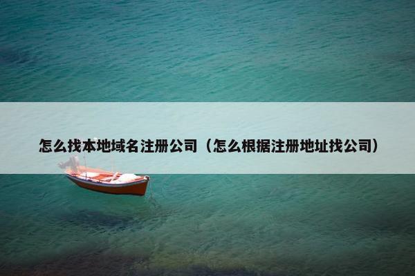 怎么找本地域名注册公司（怎么根据注册地址找公司）-第1张图片-冷动云