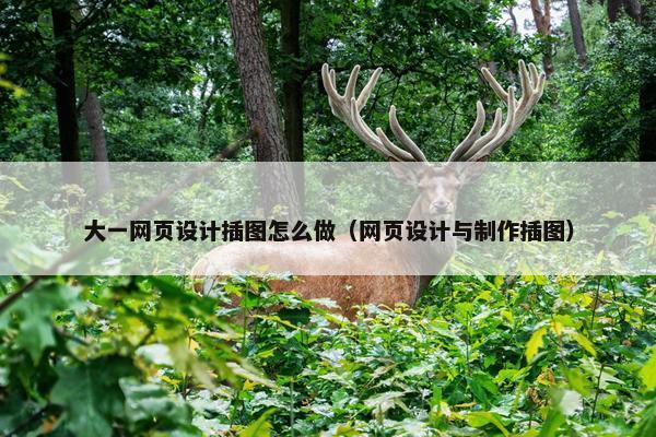 大一网页设计插图怎么做（网页设计与制作插图）-第1张图片-冷动云