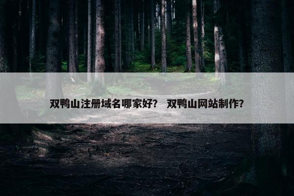 双鸭山注册域名哪家好？ 双鸭山网站制作？-第1张图片-冷动云