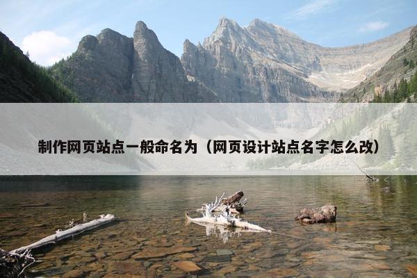 制作网页站点一般命名为（网页设计站点名字怎么改）-第1张图片-冷动云