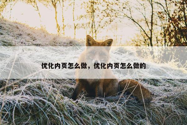 优化内页怎么做，优化内页怎么做的-第1张图片-冷动云