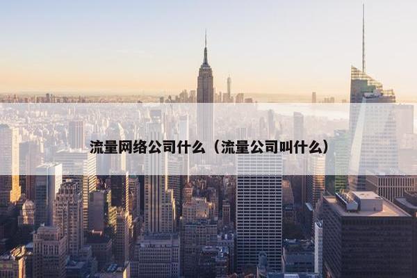 流量网络公司什么（流量公司叫什么）-第1张图片-冷动云