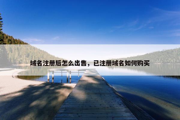 域名注册后怎么出售，已注册域名如何购买-第1张图片-冷动云