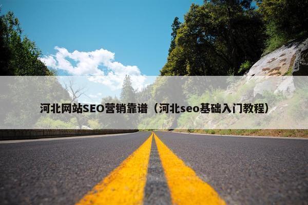 河北网站SEO营销靠谱（河北seo基础入门教程）-第1张图片-冷动云