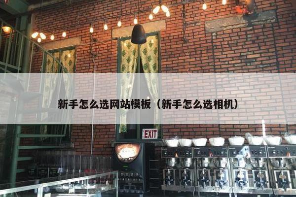 新手怎么选网站模板（新手怎么选相机）-第1张图片-冷动云