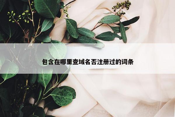 包含在哪里查域名否注册过的词条-第1张图片-冷动云