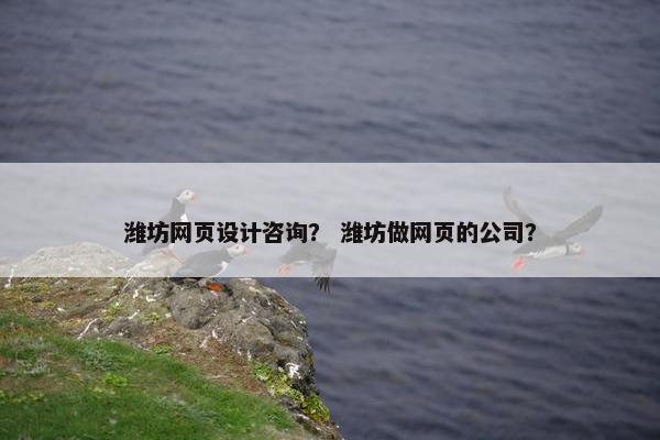 潍坊网页设计咨询？ 潍坊做网页的公司？-第1张图片-冷动云