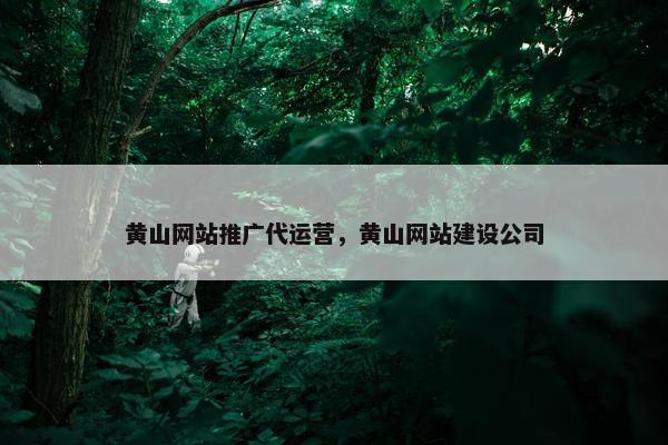 黄山网站推广代运营，黄山网站建设公司-第1张图片-冷动云