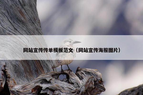 网站宣传传单模板范文（网站宣传海报图片）-第1张图片-冷动云