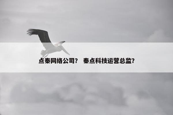 点秦网络公司？ 秦点科技运营总监？-第1张图片-冷动云