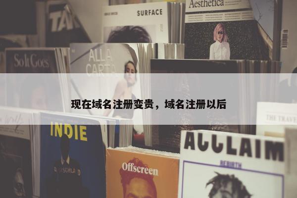 现在域名注册变贵，域名注册以后-第1张图片-冷动云
