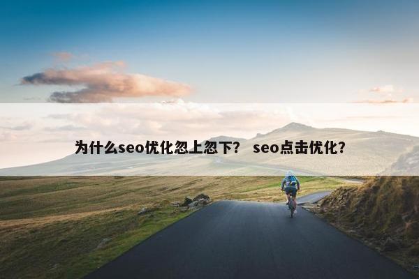 为什么seo优化忽上忽下？ seo点击优化？-第1张图片-冷动云