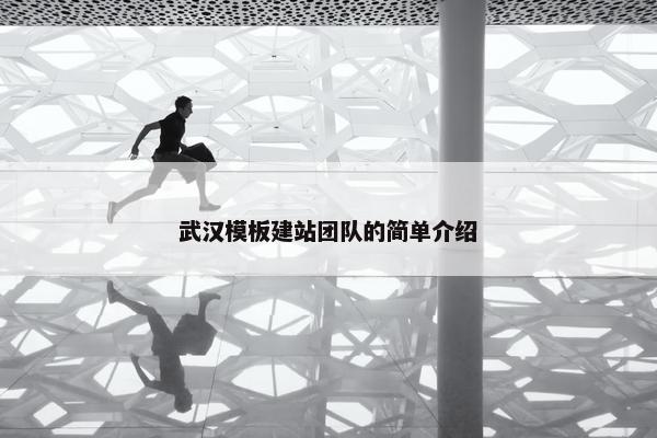 武汉模板建站团队的简单介绍-第1张图片-冷动云